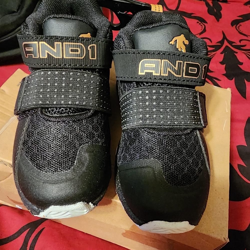 Toddler Shoe